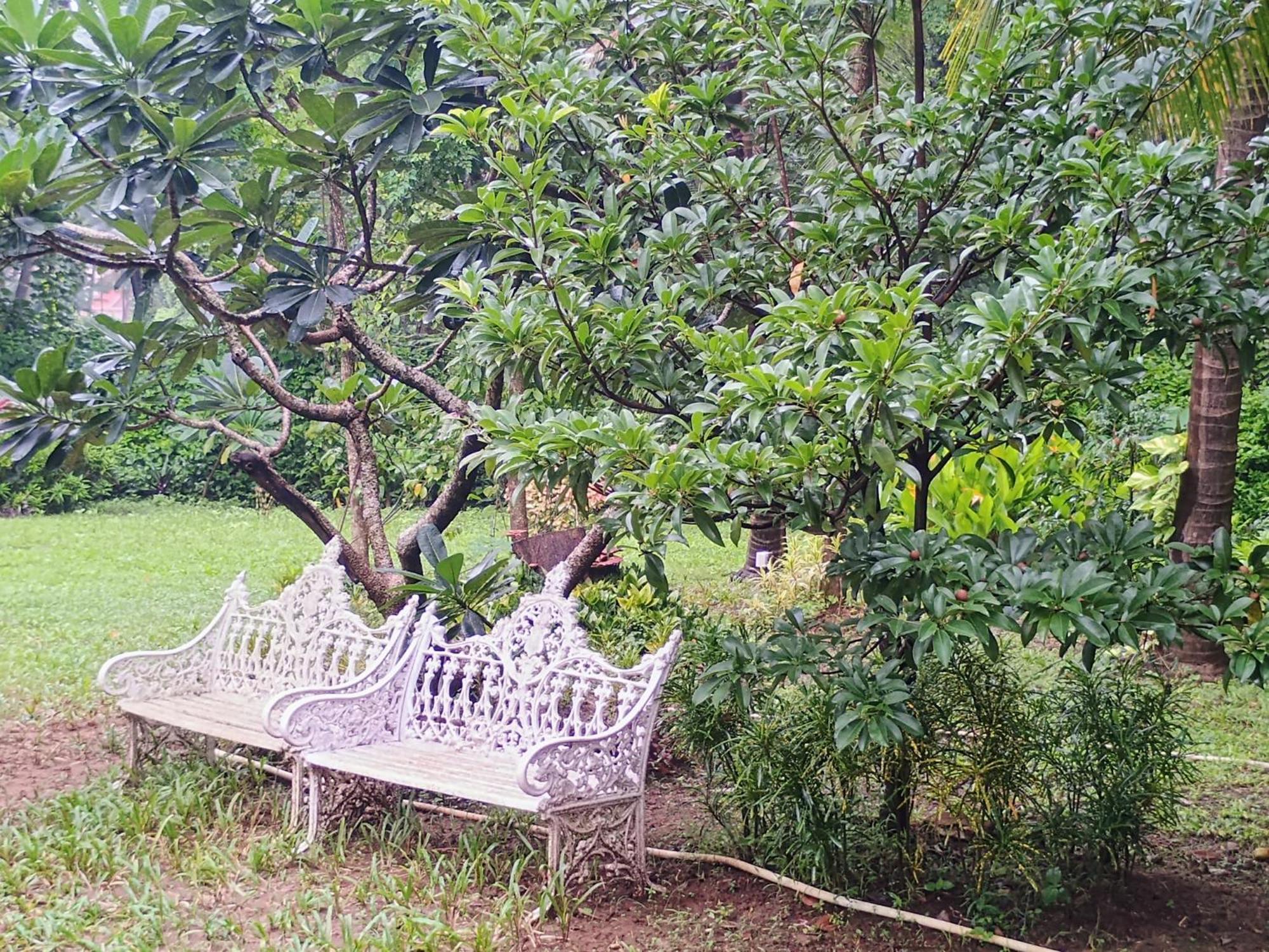 Banyan House - Luxurious 4 Bedroom Villa On One Acre, Near The Beach 나가온 외부 사진